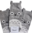 Sukat, Totoro